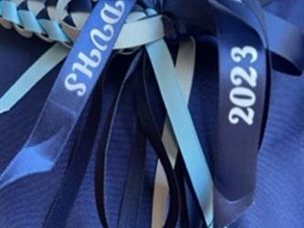 ribbon lei back