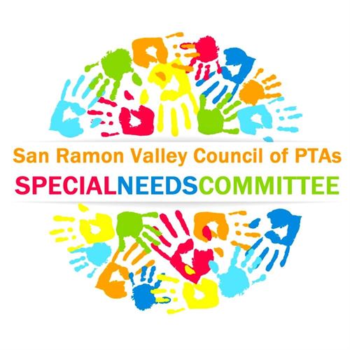 special needs committee